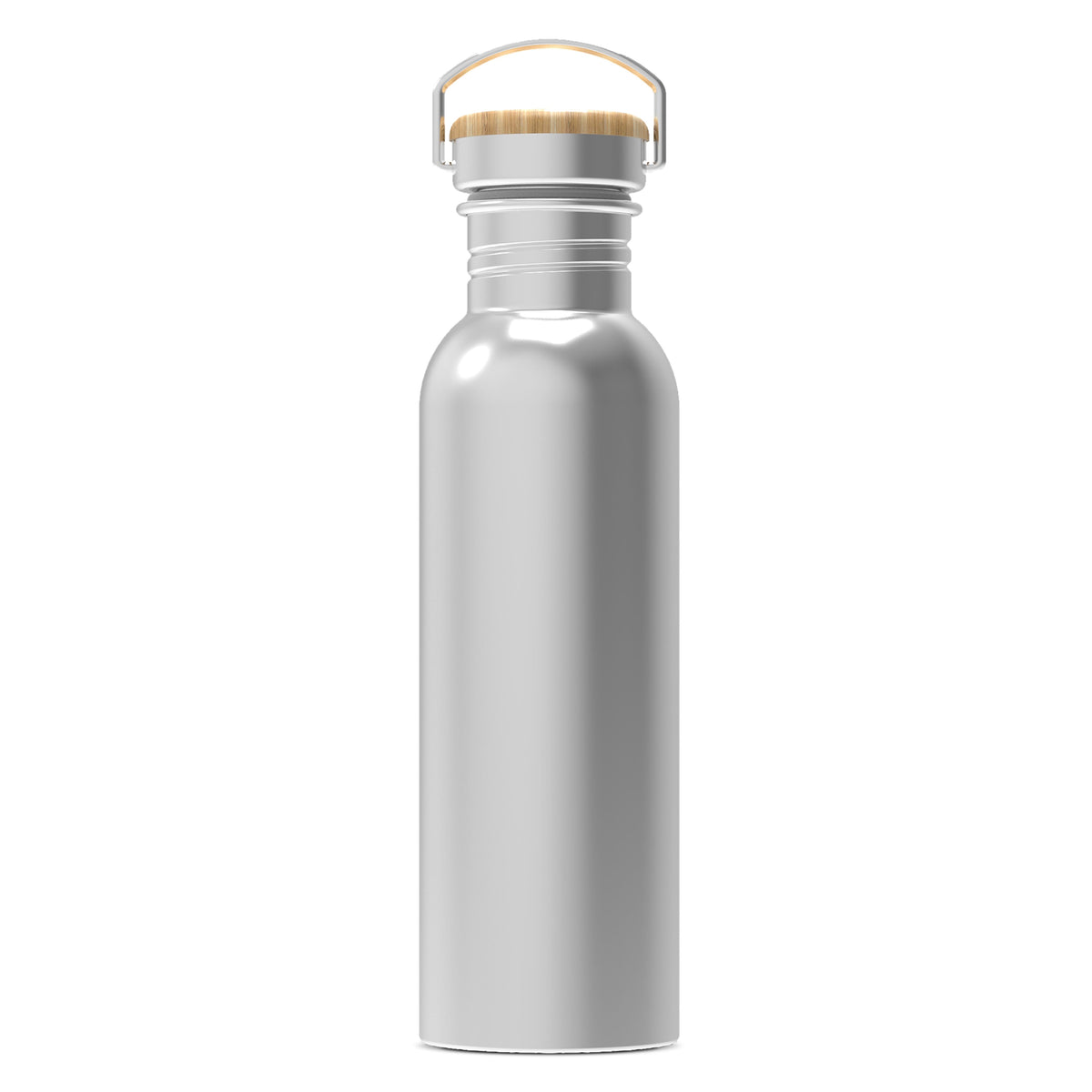 Waterfles Ashton 750ml