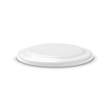 Frisbee