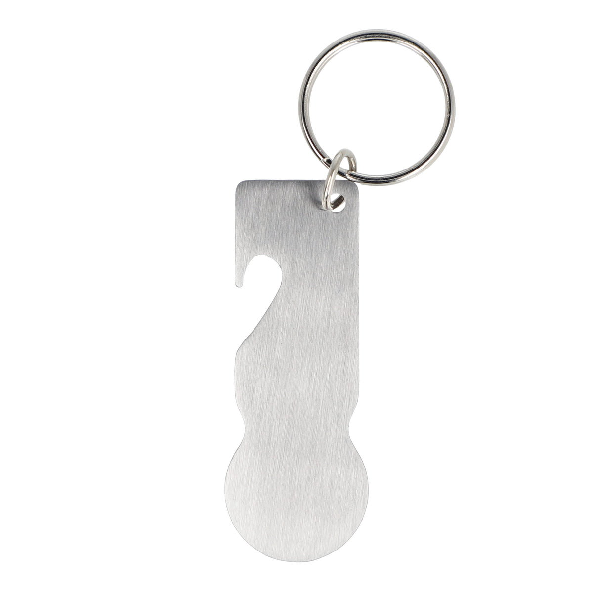 RVS winkelwagenmunt sleutelhanger