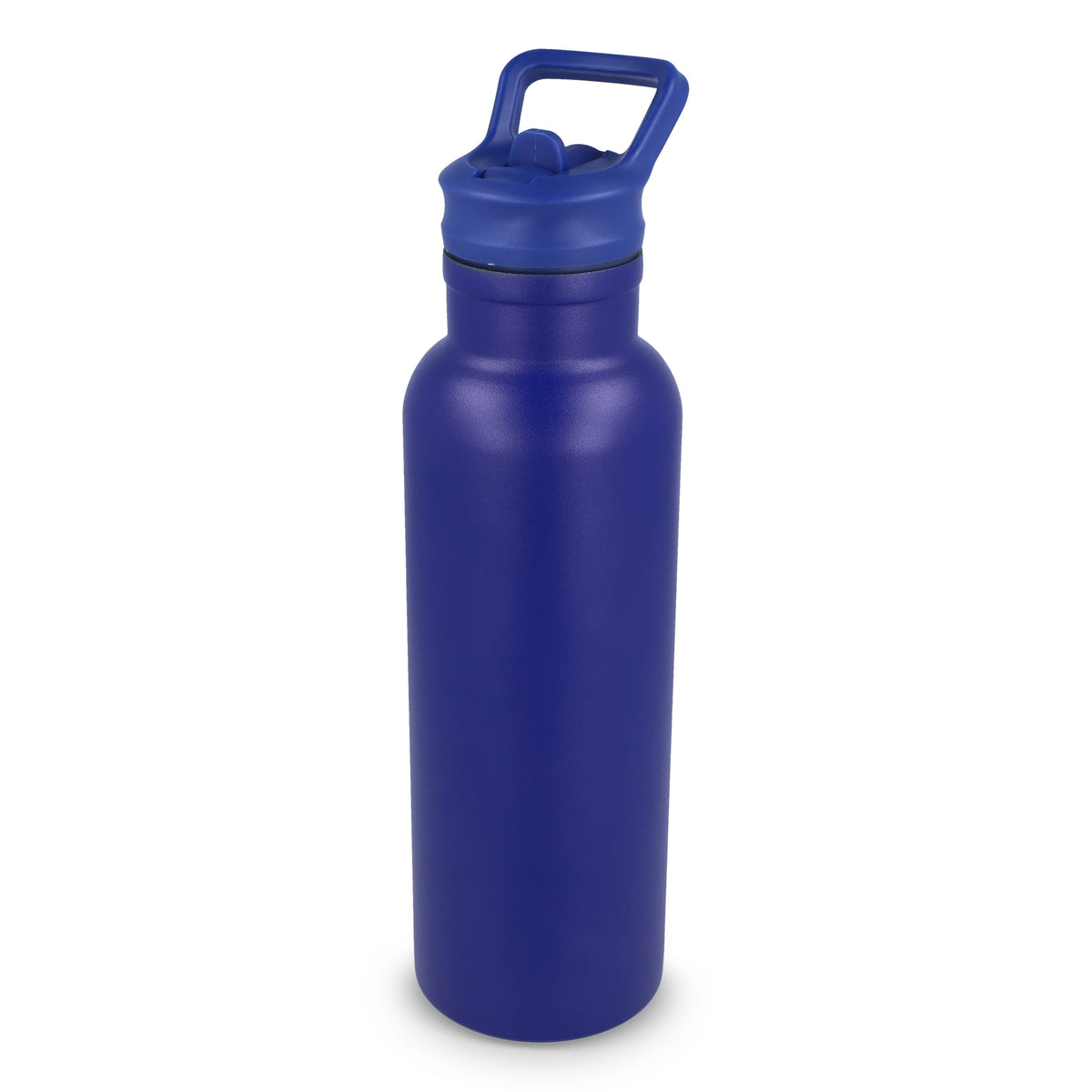 Darion Thermo fles 500ml